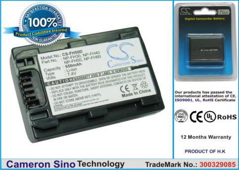 Batterie camescope sony hdr cx106